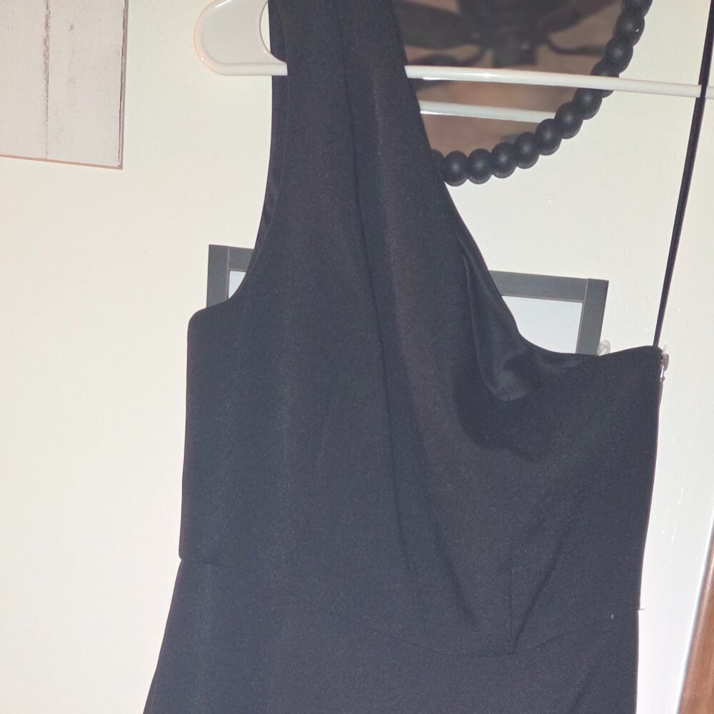EXPRESS dress